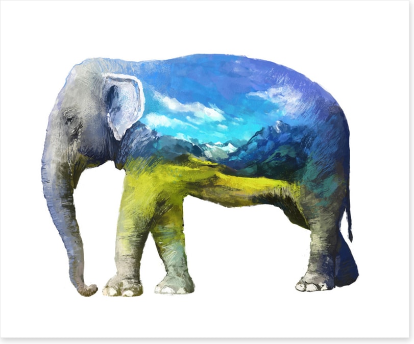 Elephant of the grasslands