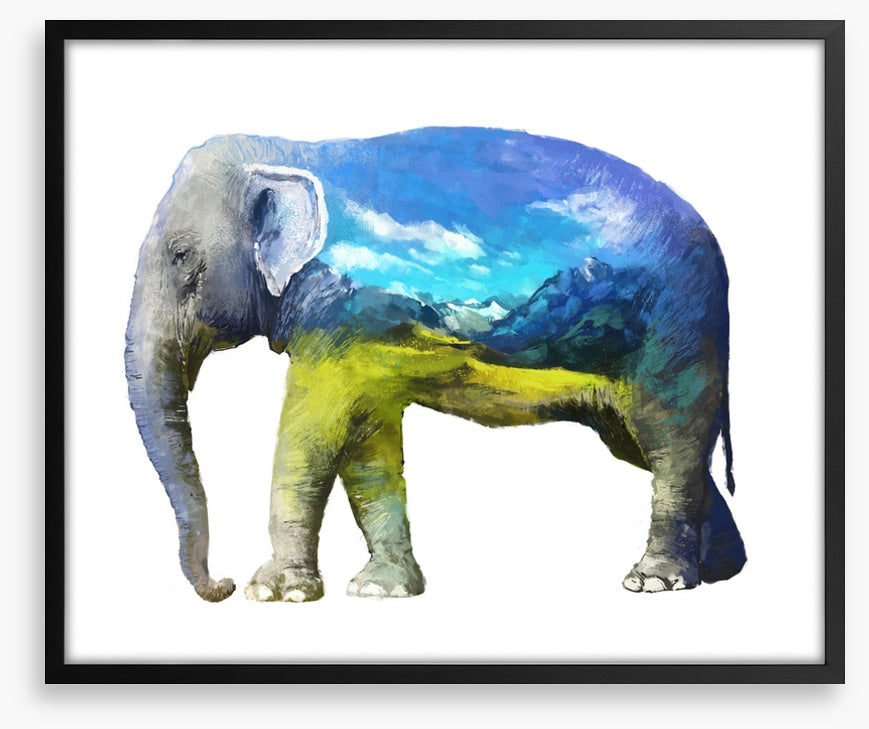 Elephant of the grasslands