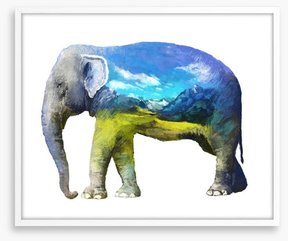 Elephant of the grasslands