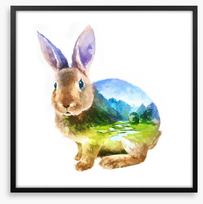 Rabbit of the valley