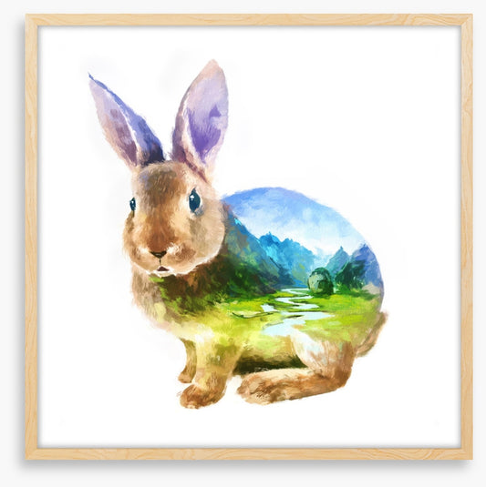 Rabbit of the valley