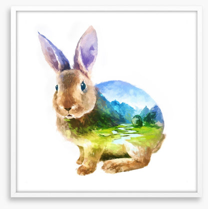 Rabbit of the valley