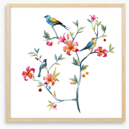 Birds on a branch