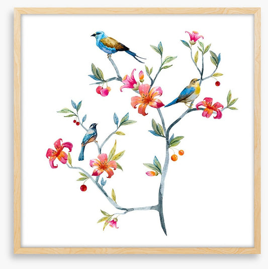 Birds on a branch