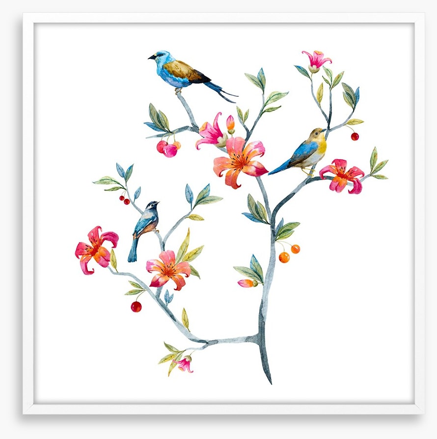 Birds on a branch