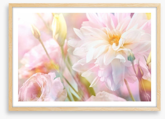 Peony perfection