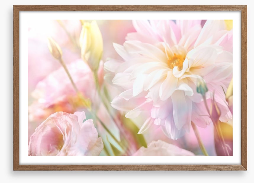Peony perfection