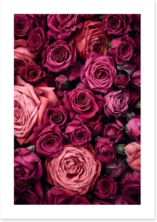 Bed of roses