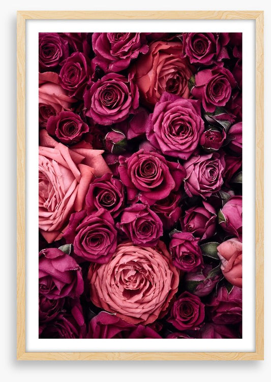 Bed of roses