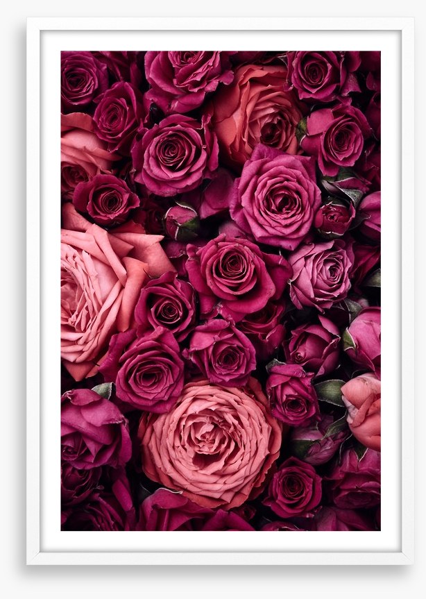 Bed of roses