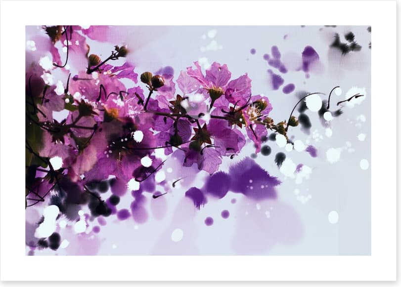 Purple musk
