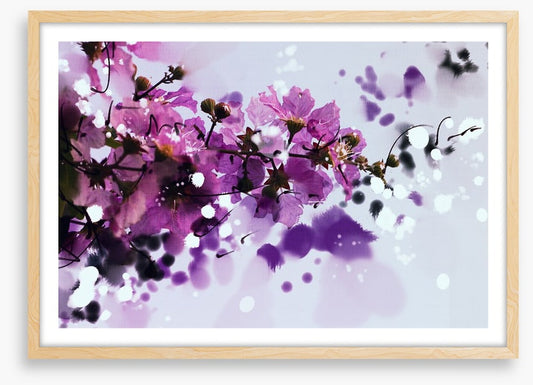 Purple musk