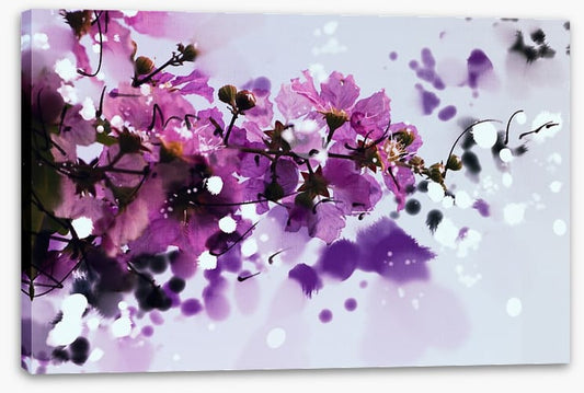 Purple musk