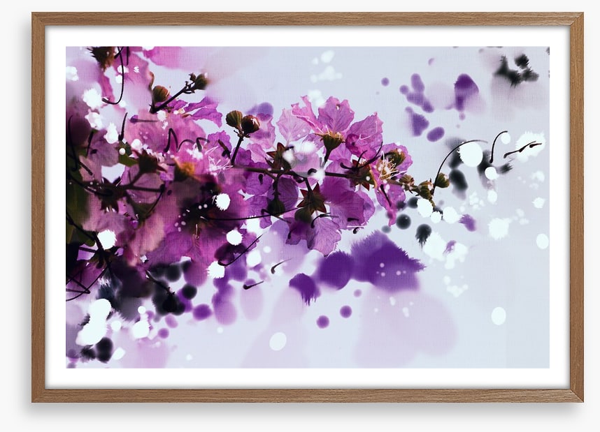 Purple musk