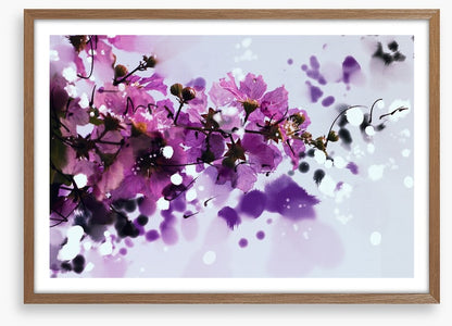 Purple musk