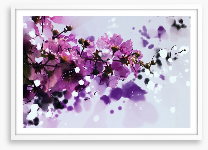 Purple musk