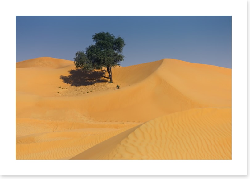 Desert