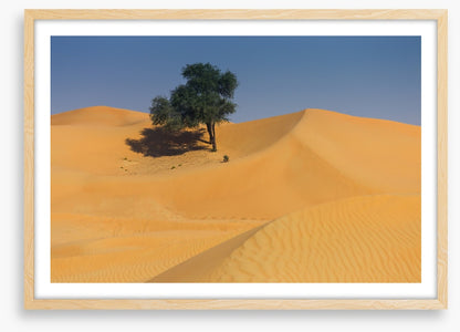 Desert