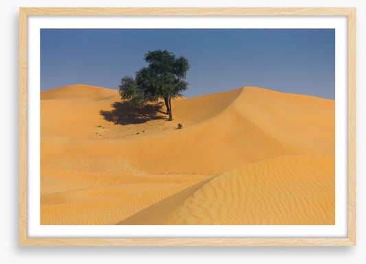 Desert