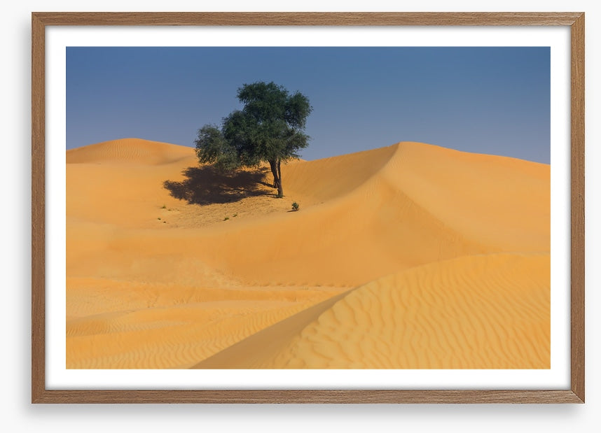 Desert