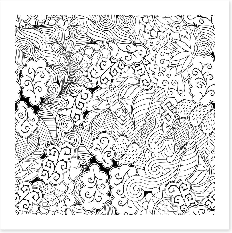 Colour me garden