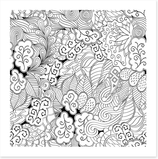 Colour me garden
