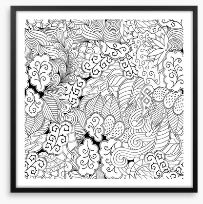 Colour me garden