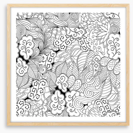 Colour me garden
