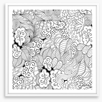 Colour me garden