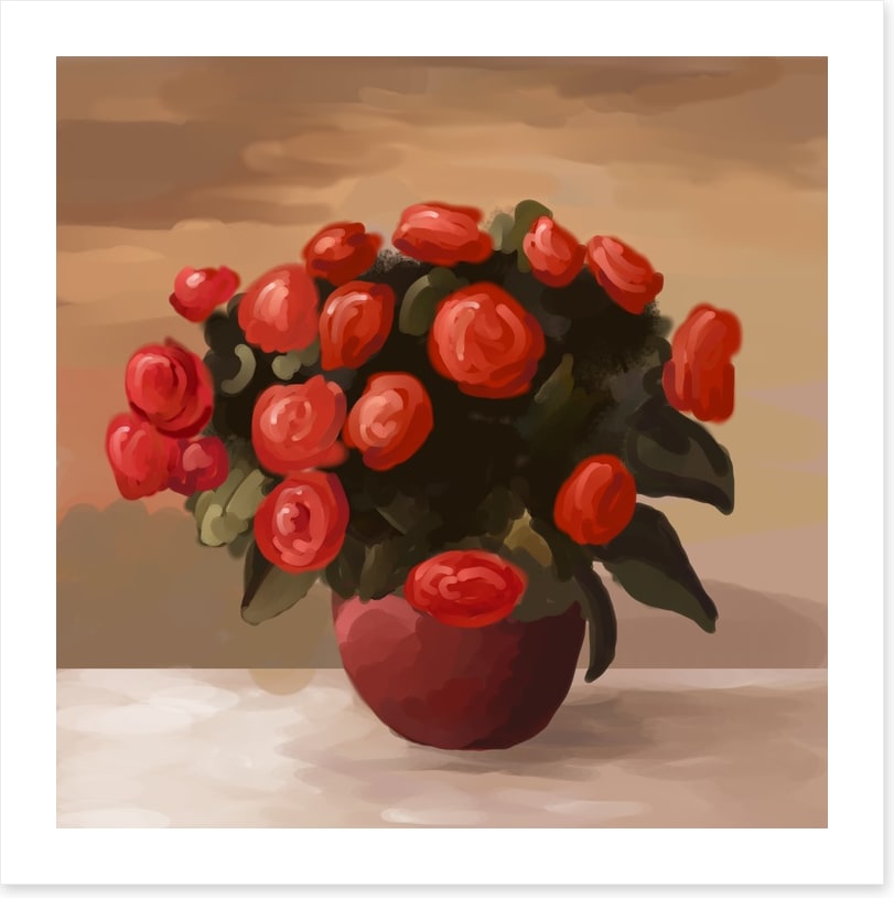 Still Life