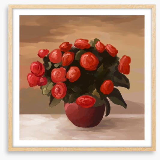 Still Life