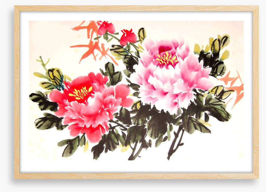 Chinese peony