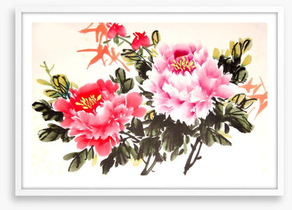 Chinese peony