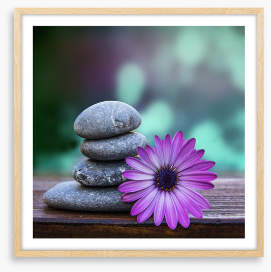 Spring in stone