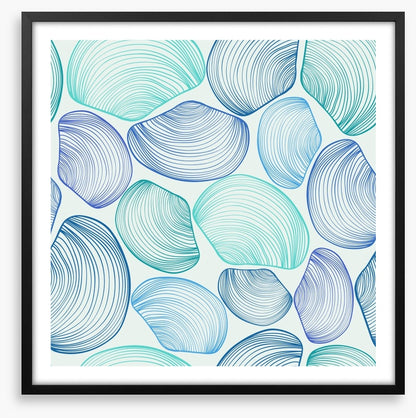 Seashell blues