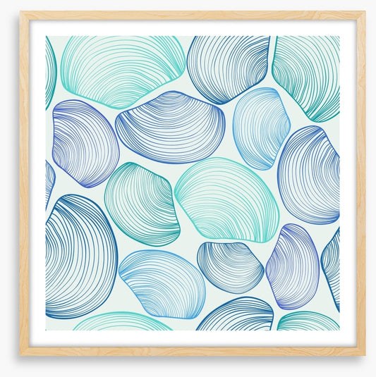 Seashell blues