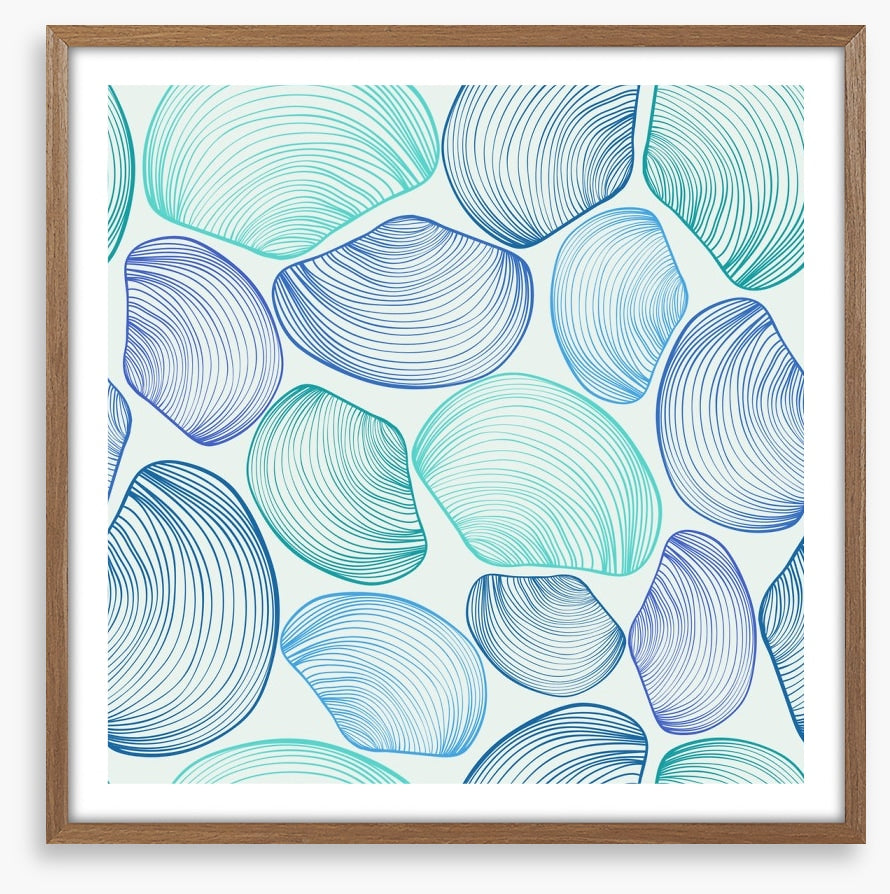 Seashell blues