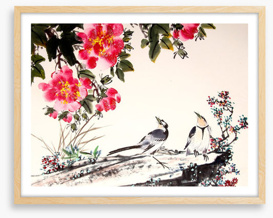 Birds under the blossom