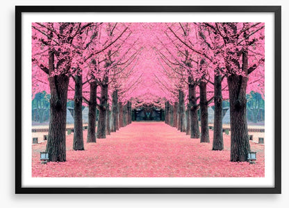 Pink blossom tunnel, Nami Island
