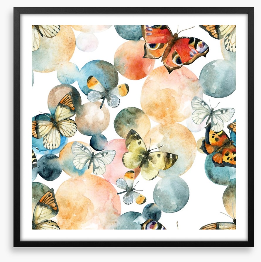 Butterflies