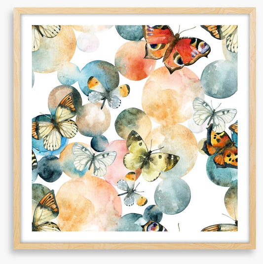Butterflies