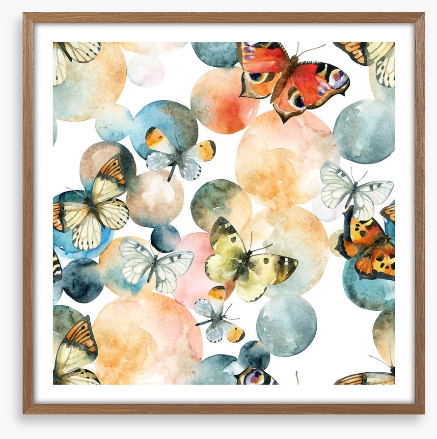 Butterflies