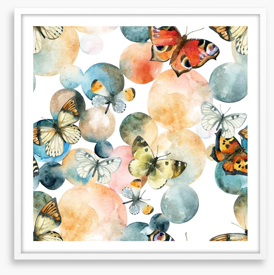 Butterflies