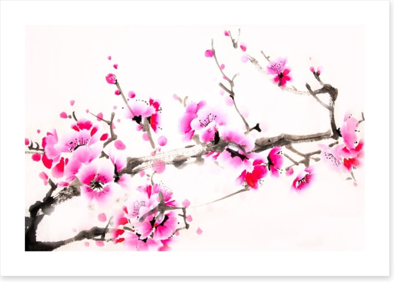 Pink blossom branch
