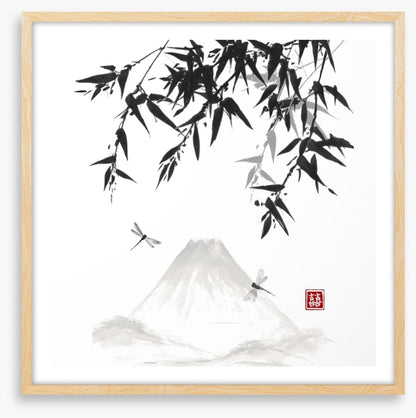 Mt Fuji dragonflies