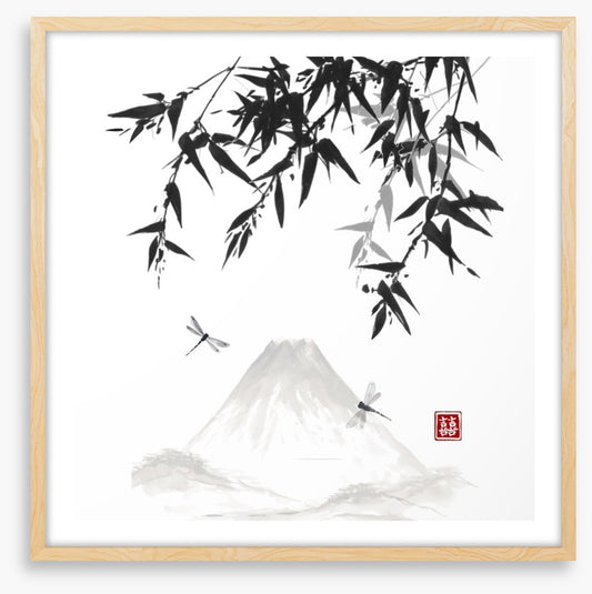 Mt Fuji dragonflies