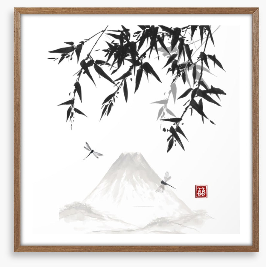 Mt Fuji dragonflies