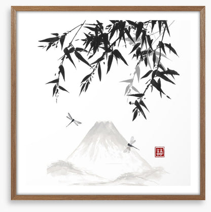 Mt Fuji dragonflies