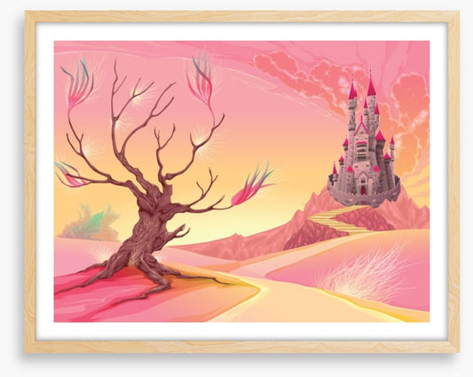 Fairy Castles