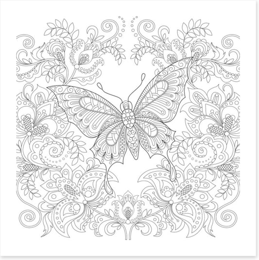 Colour me butterfly garden